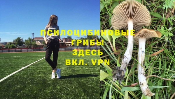 героин Новодвинск