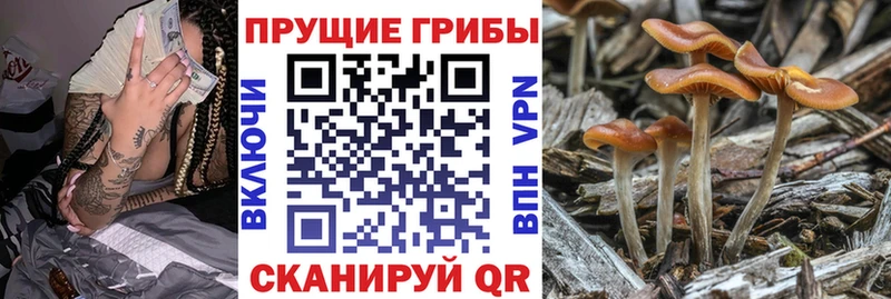 МЕГА ссылки  Нягань  маркетплейс как зайти  Галлюциногенные грибы мицелий 