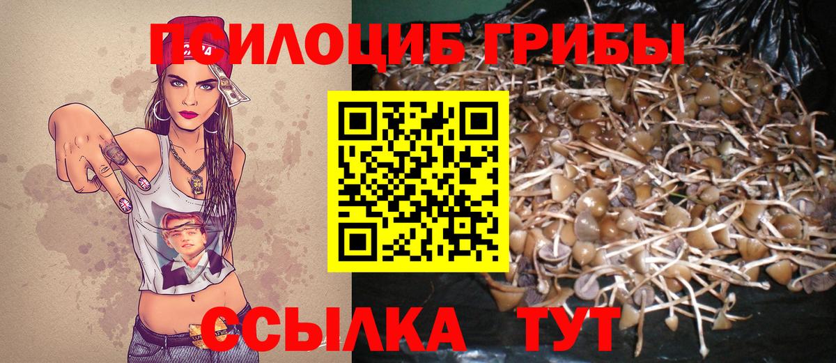 Псилоцибиновые грибы Psilocybe Нягань