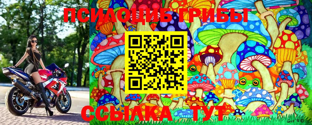 Галлюциногенные грибы Cubensis Нягань