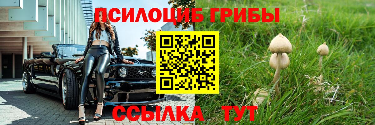 Галлюциногенные грибы MAGIC MUSHROOMS  Нягань 